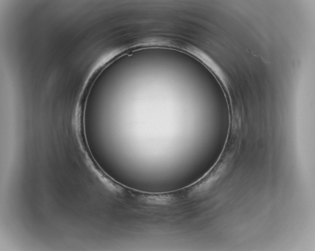 X0000112851053200908211256
