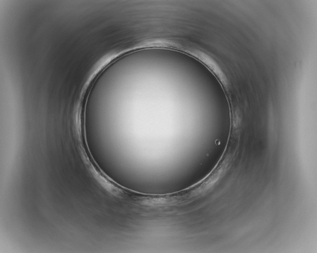X0000112851054200908211256