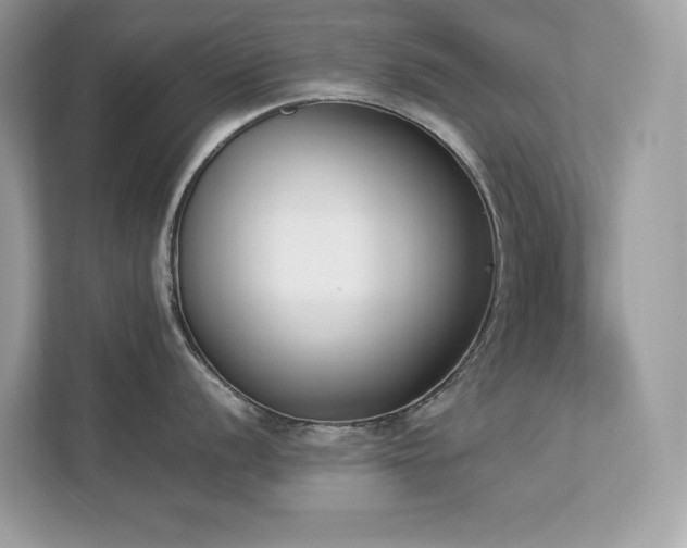 X0000112851056200908211256