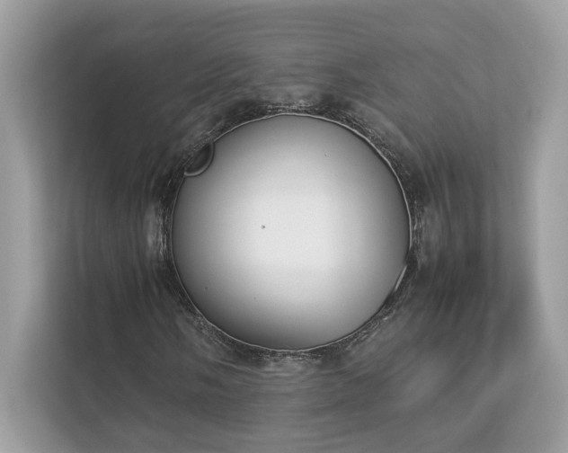 X0000112851058200908211256