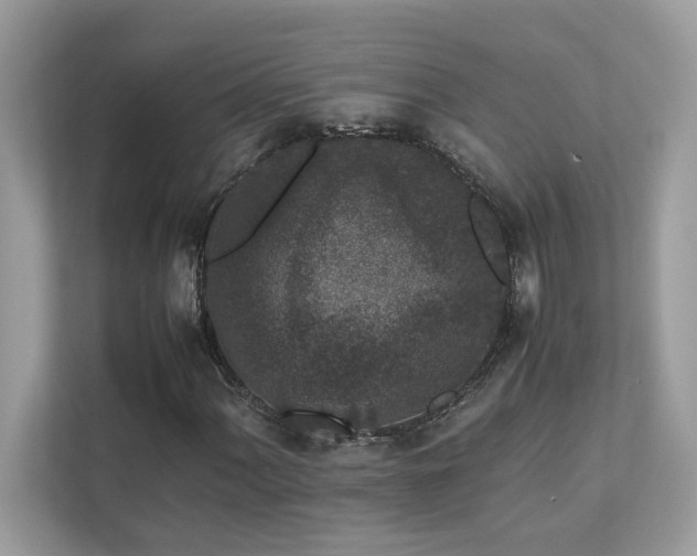X0000112851060200908211256