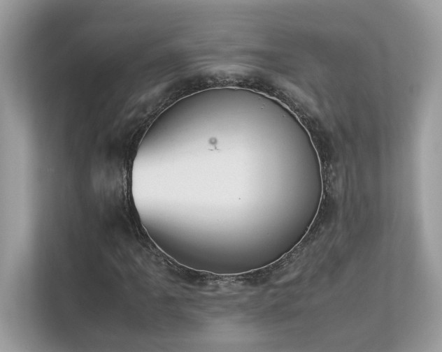X0000112851061200908211256