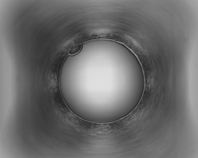 X0000112851062200908211256