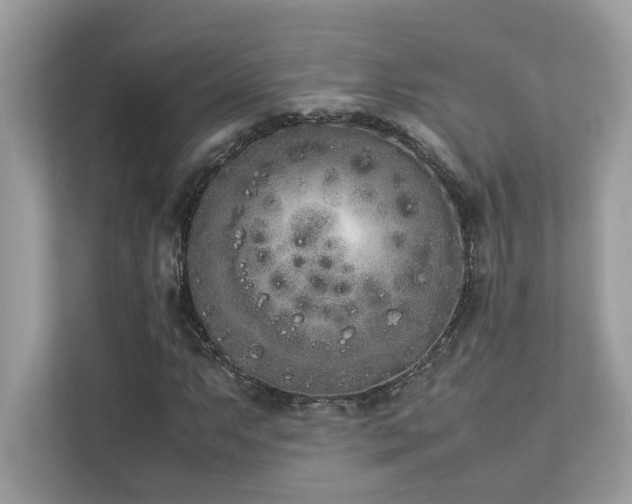 X0000112851063200908211256