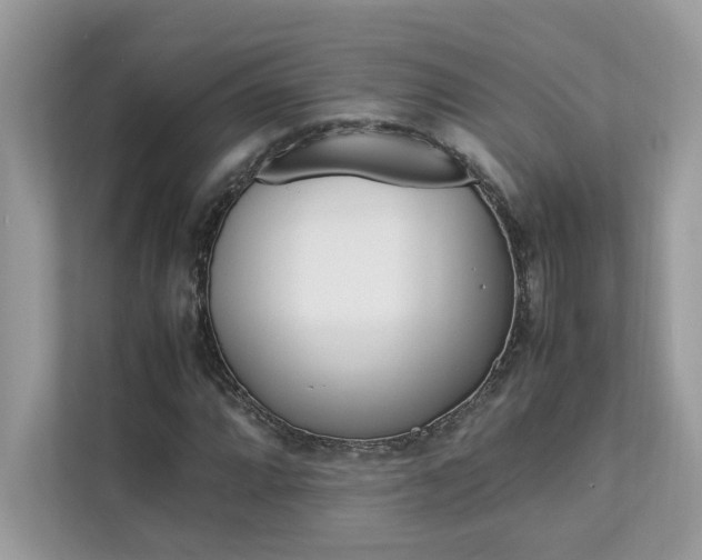 X0000112851064200908211256