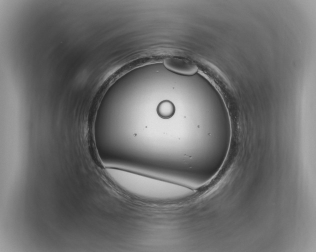 X0000112851065200908211256