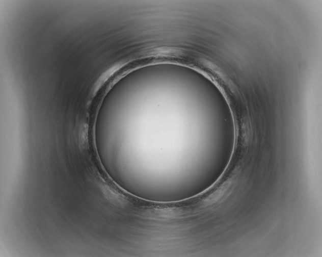 X0000112851066200908211256