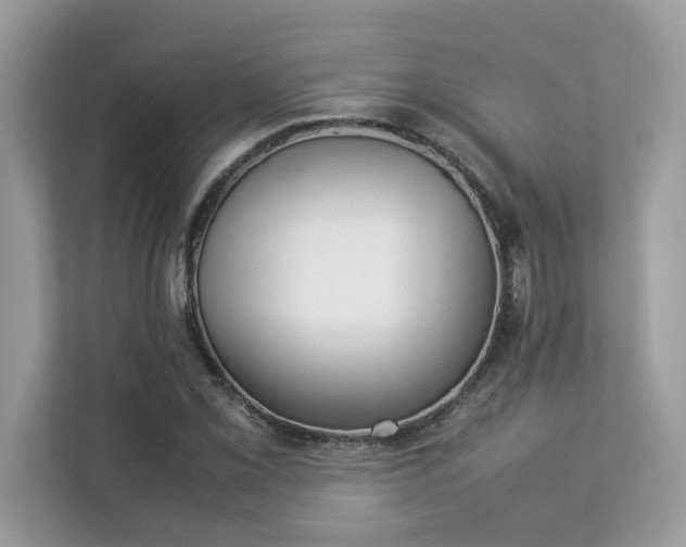 X0000112851069200908211256