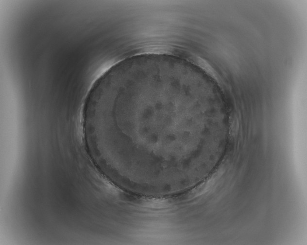 X0000112851071200908211256