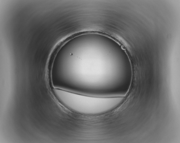 X0000112851072200908211256