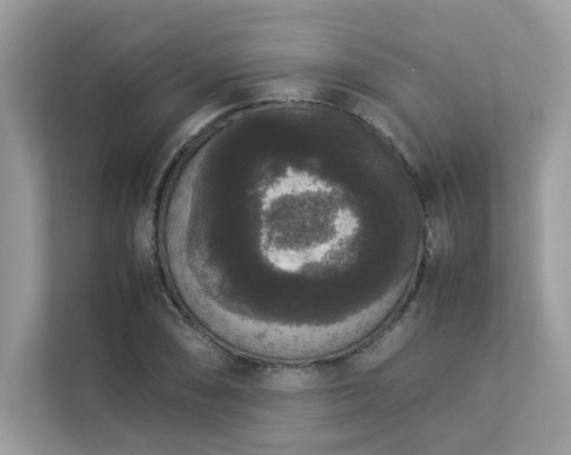 X0000112851074200908211256