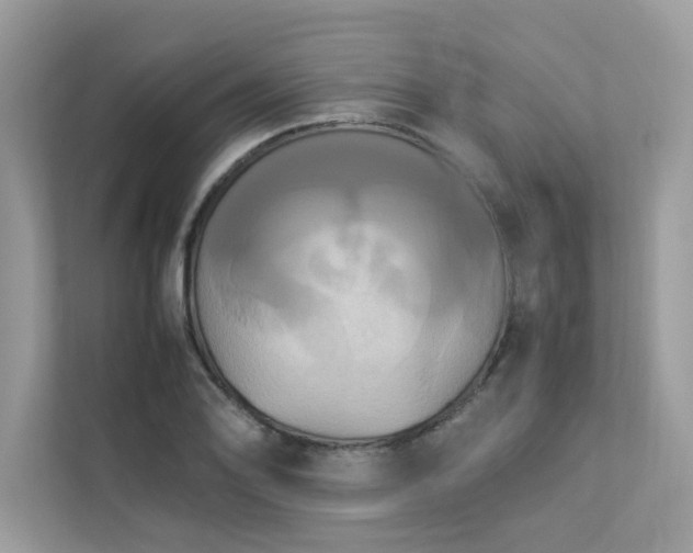 X0000112851078200908211256