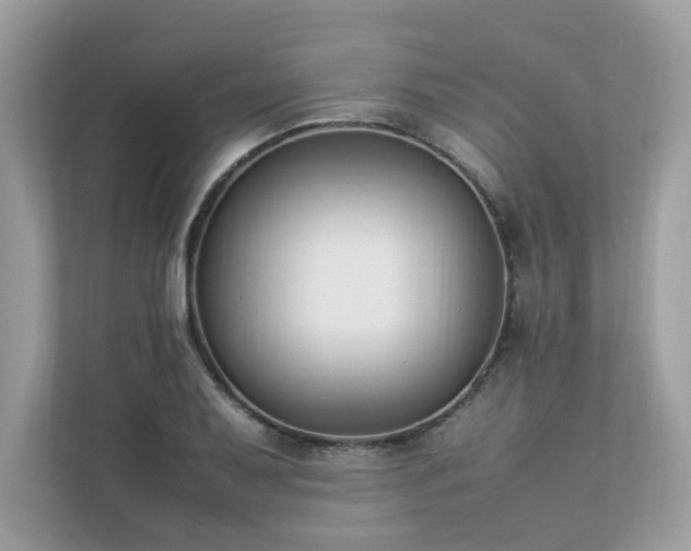 X0000112851079200908211256