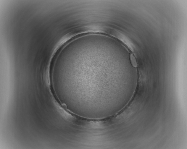 X0000112851080200908211256