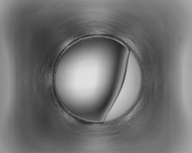 X0000112851081200908211256