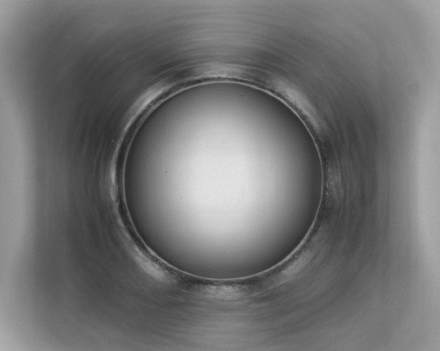 X0000112851082200908211256
