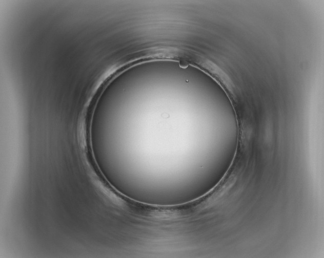 X0000112851083200908211256