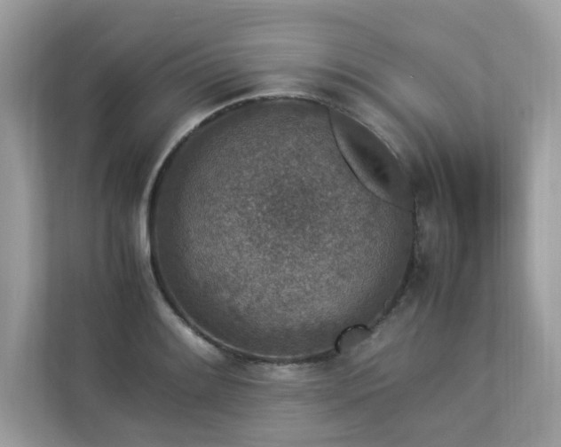 X0000112851084200908211255