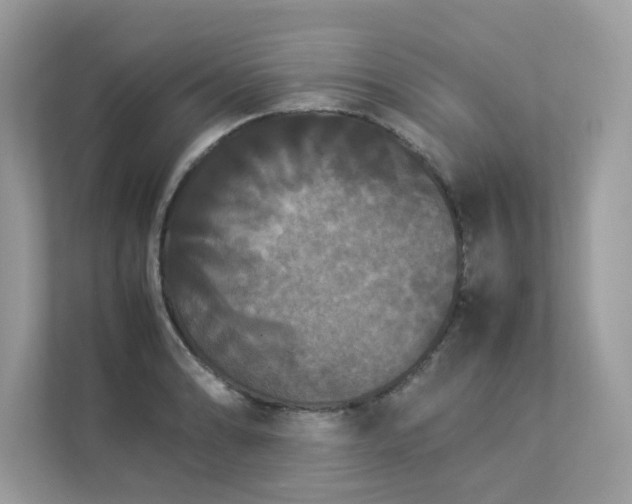 X0000112851086200908211255