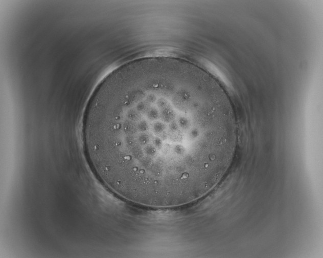 X0000112851087200908211255