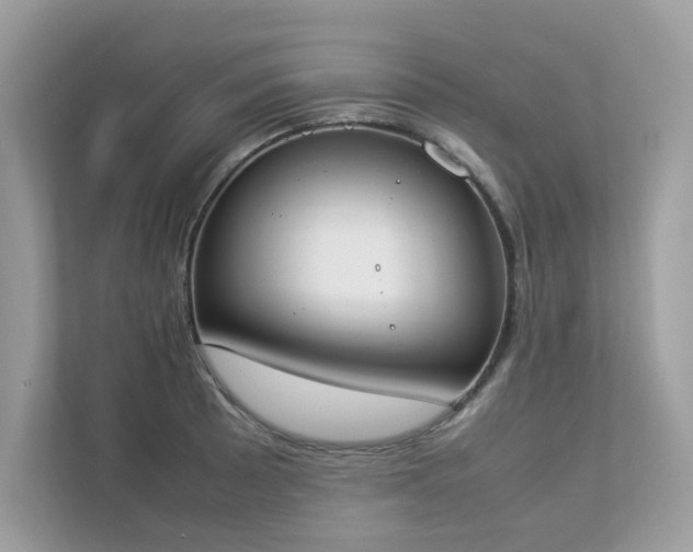 X0000112851089200908211255