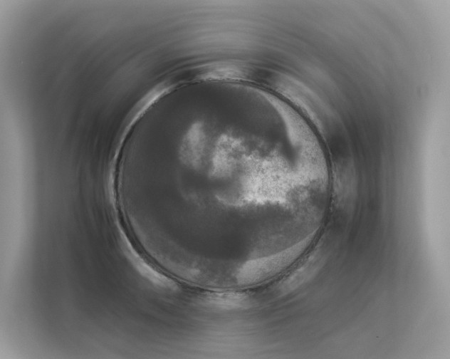 X0000112851090200908211255