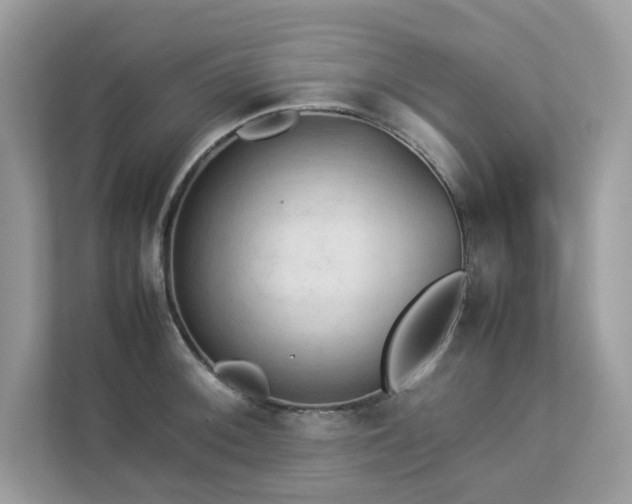 X0000112851092200908211255
