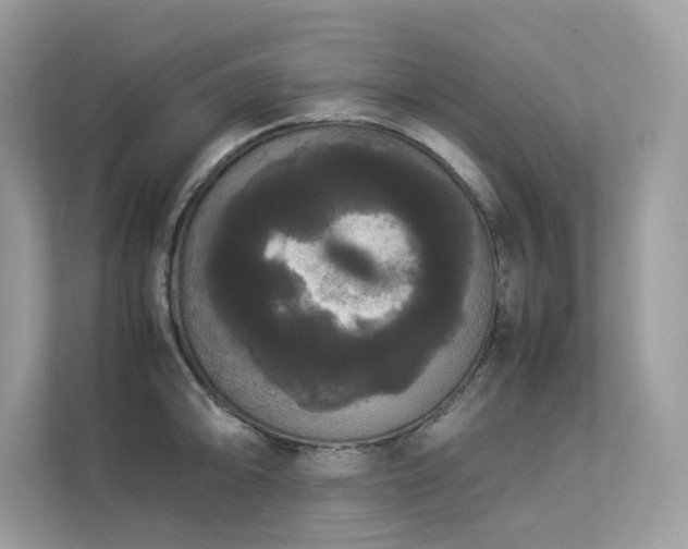 X0000112851094200908211255