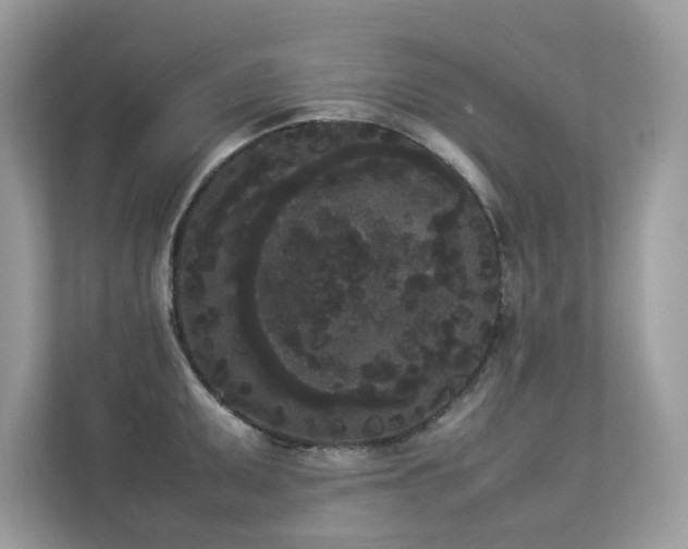 X0000112851095200908211255