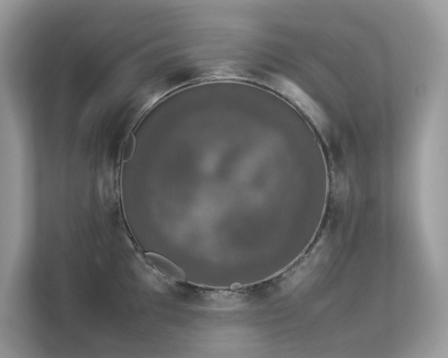 X0000112851097200908211255