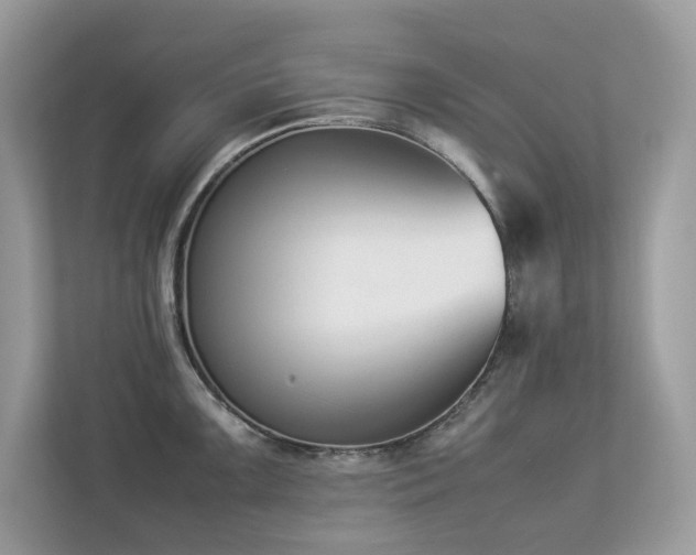 X0000112851099200908211255