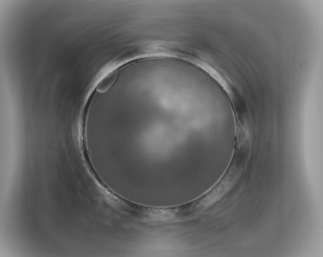 X0000112851101200908211255