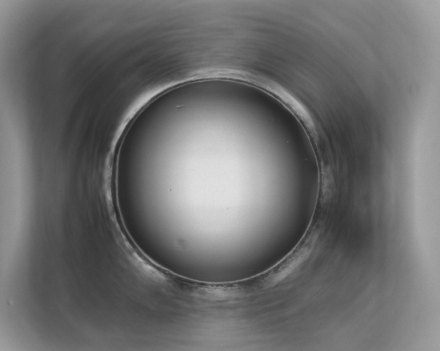 X0000112851102200908211255