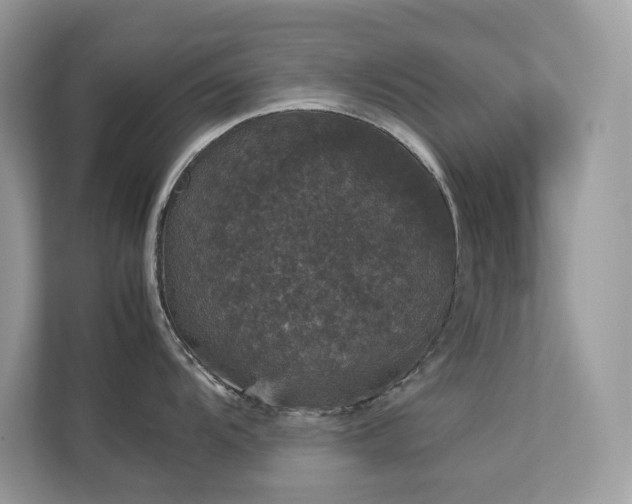 X0000112851104200908211255