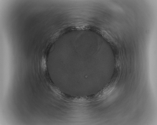 X0000112851106200908211255