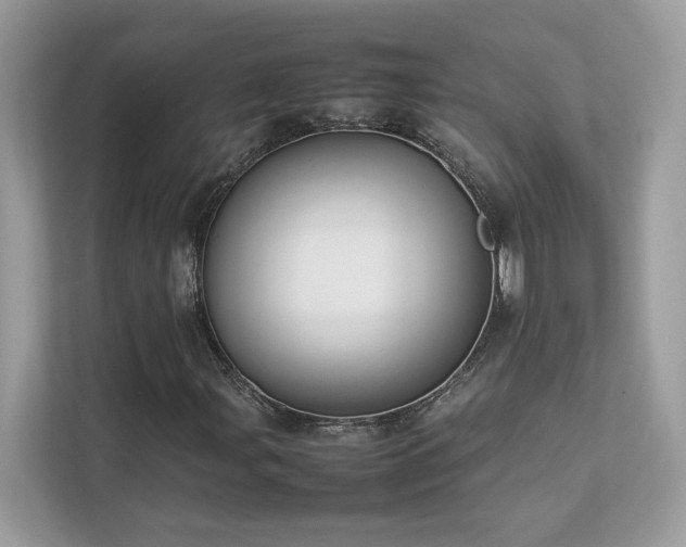 X0000112851107200908211255