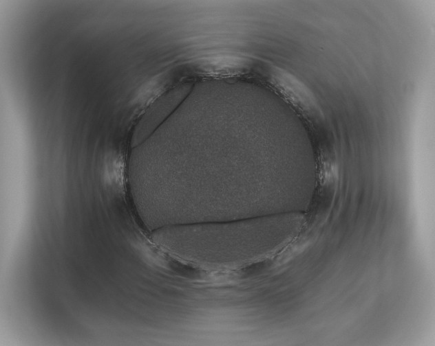 X0000112851108200908211255