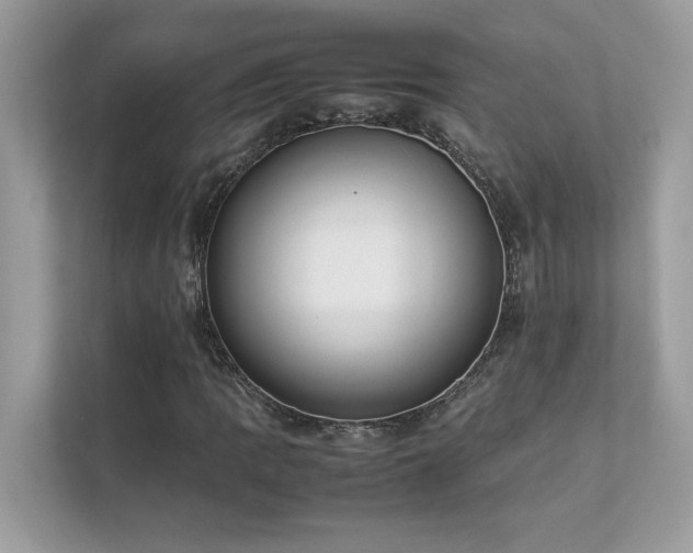 X0000112851109200908211255