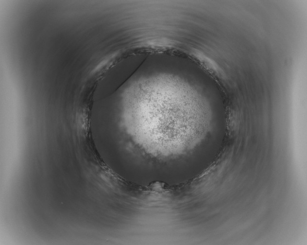 X0000112851110200908211255