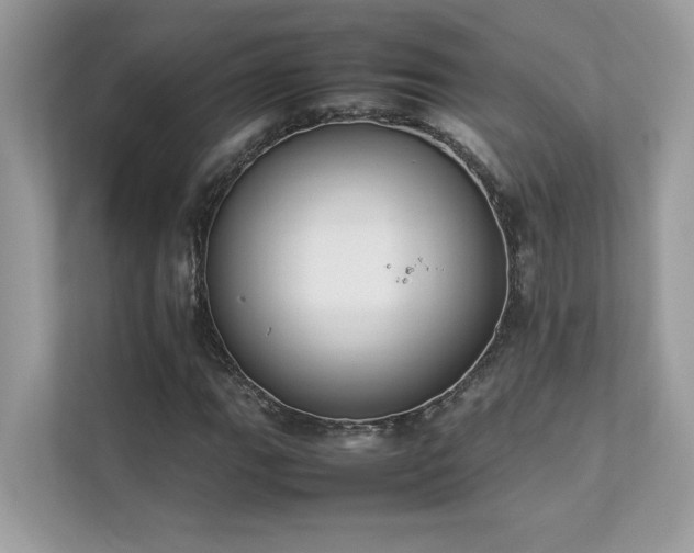 X0000112851111200908211255