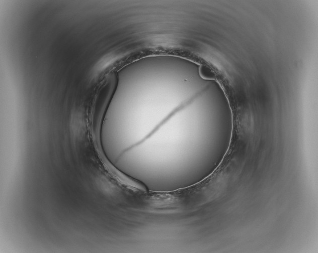 X0000112851112200908211255