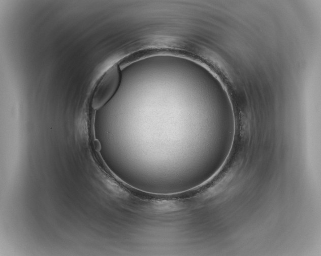 X0000112851114200908211255