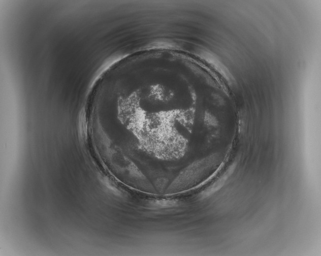 X0000112851117200908211255