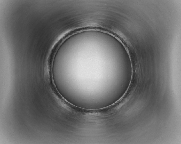 X0000112851118200908211255