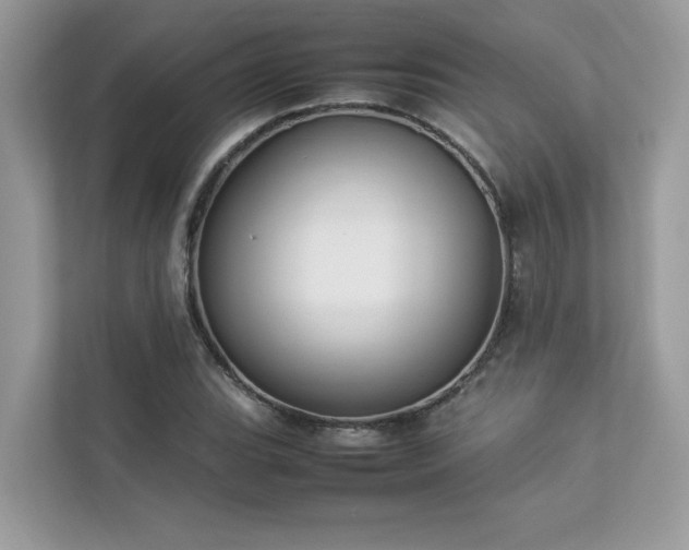 X0000112851119200908211255