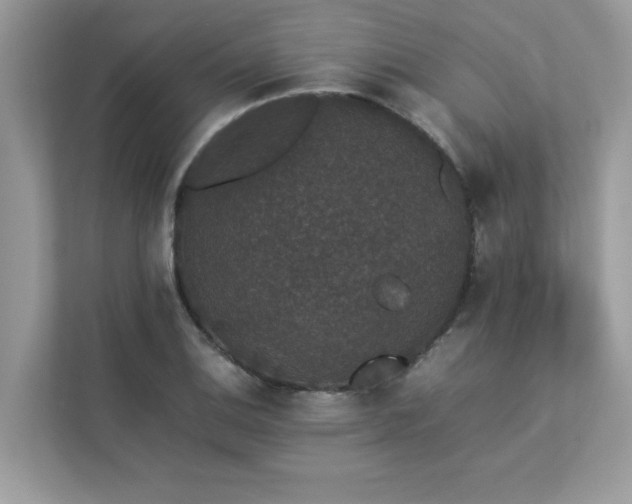 X0000112851124200908211255