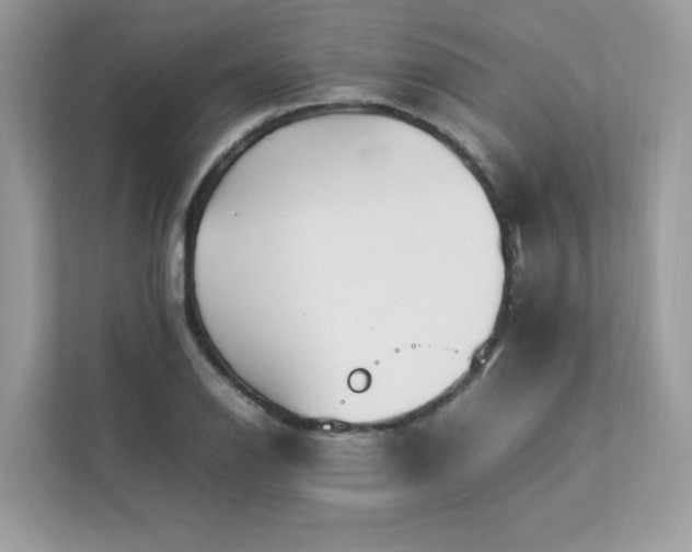 X0000112851126200908211255