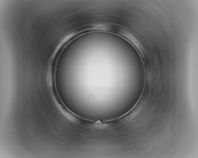 X0000112851131200908211255