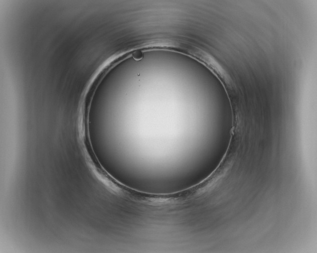 X0000112851132200908211255