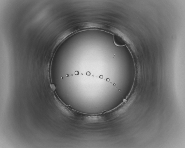 X0000112851137200908211255